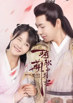 《王府软萌小刺客》：反差萌爆笑来袭，看甜妹如何智斗王爷！