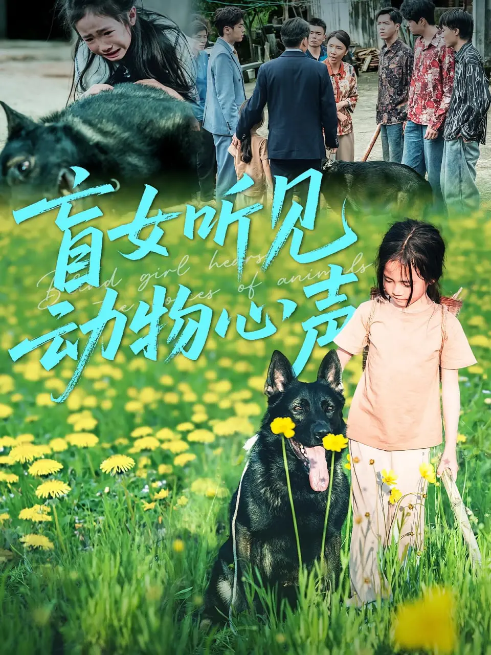 《盲女听见动物心声》：当黑暗触碰爱，她用耳朵拥抱整个世界！