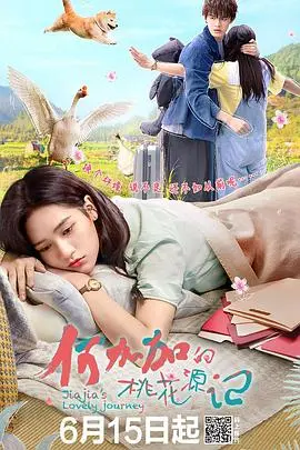 《何加加的桃花源记》：都市社畜的奇幻逃离，寻找失落的“1987”，一个关于寻找与回归的治愈系童话